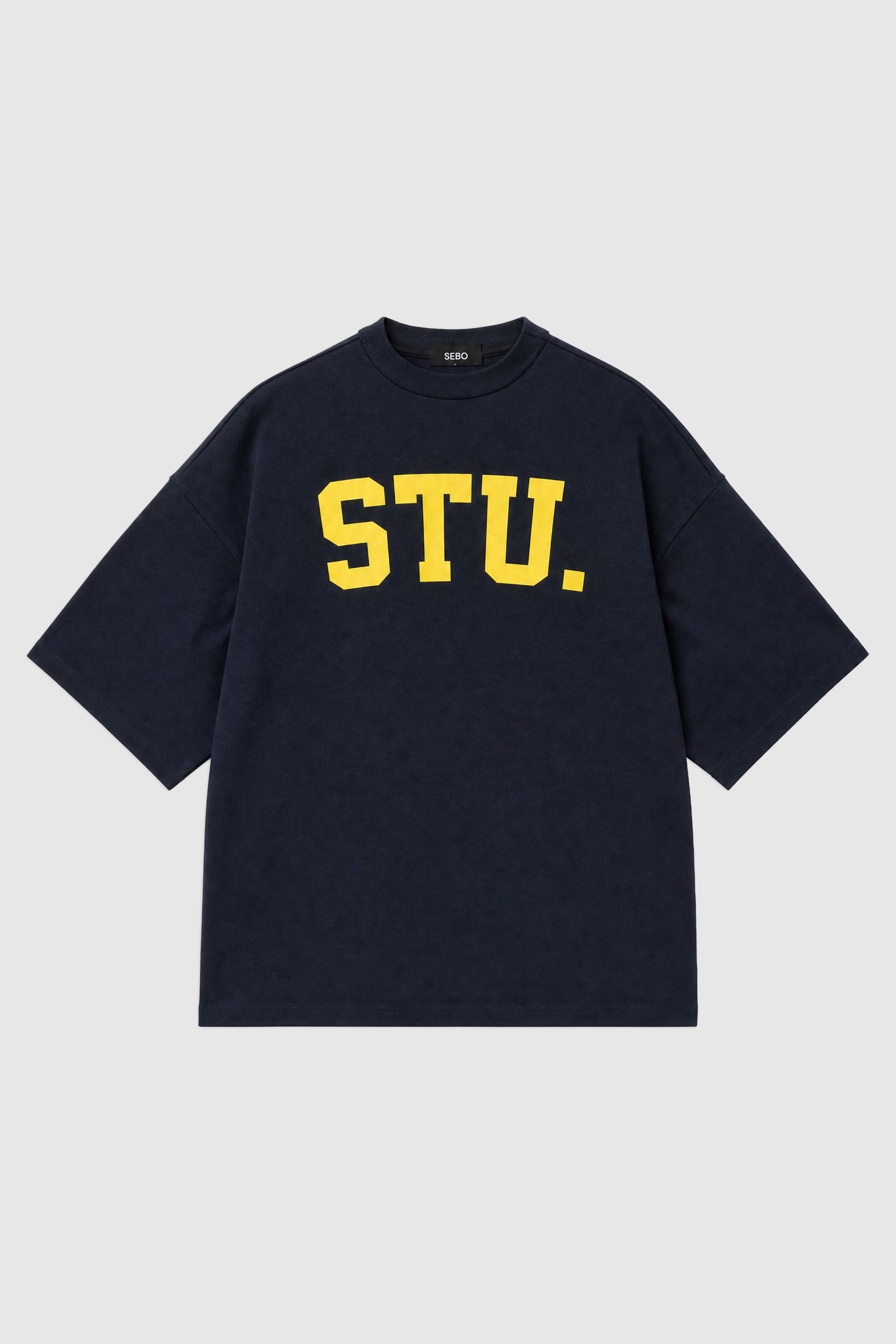 Boxy Fit Cotton T-Shirt
