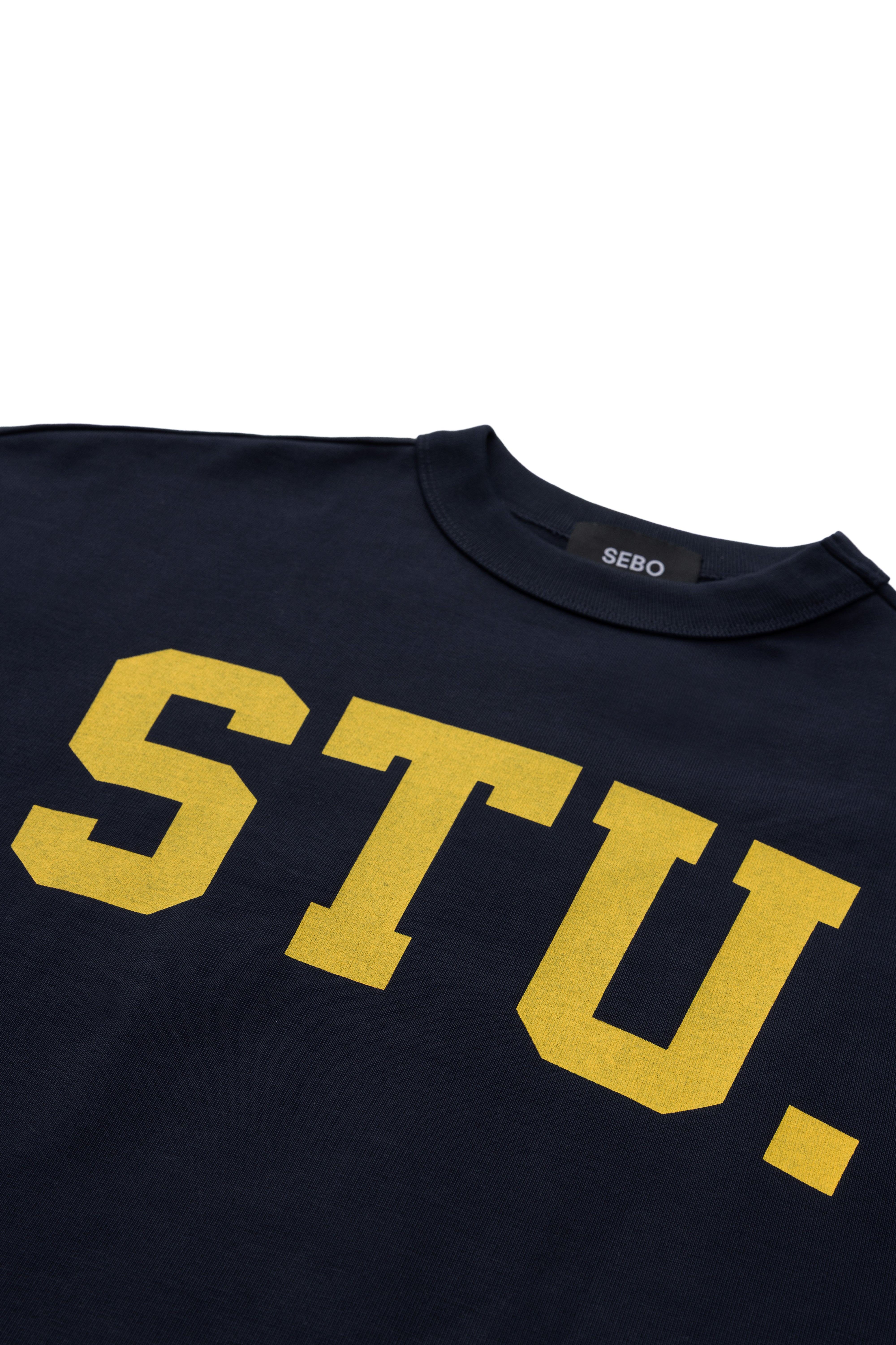 Boxy Fit Cotton T-Shirt