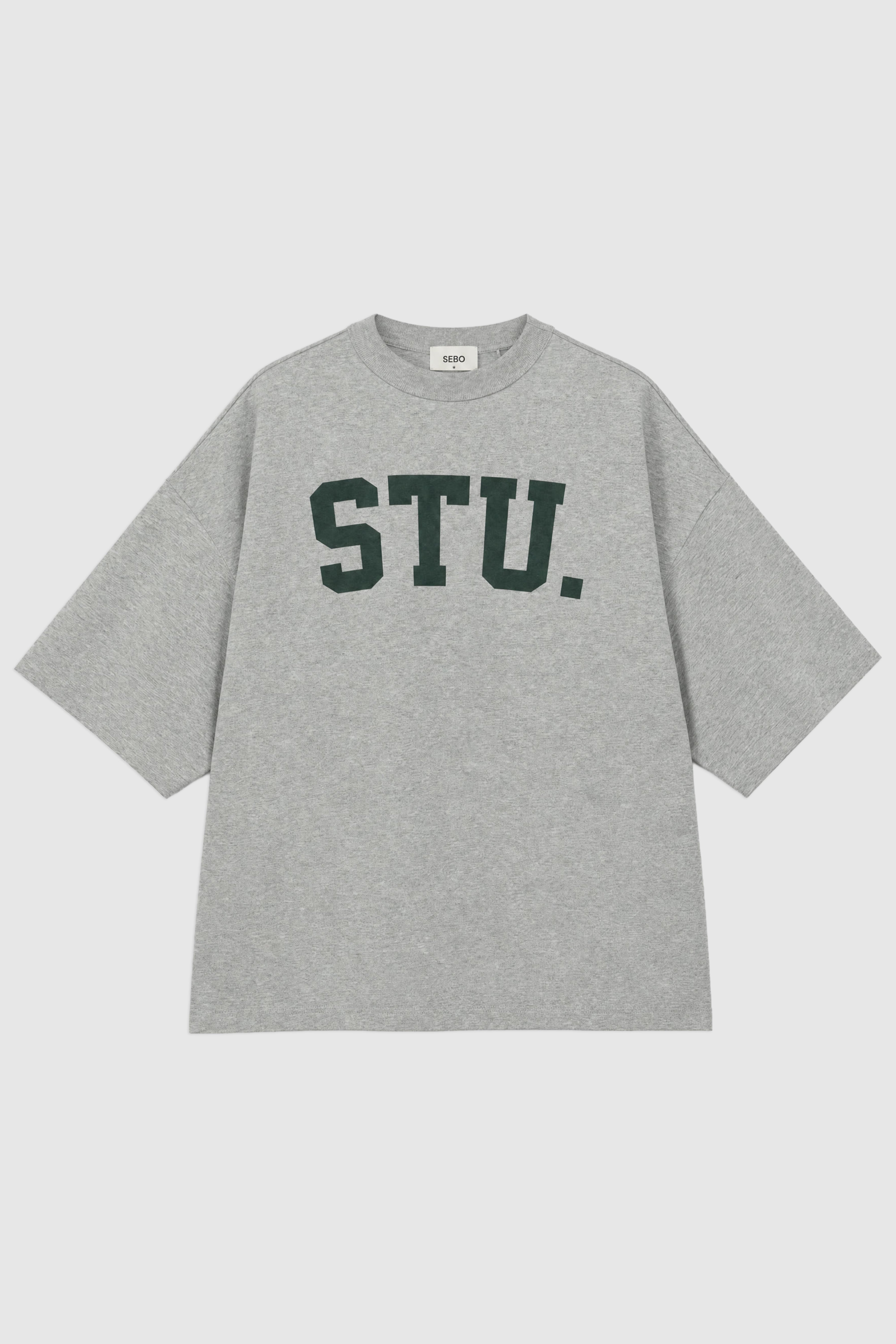 Boxy Fit Cotton T-Shirt