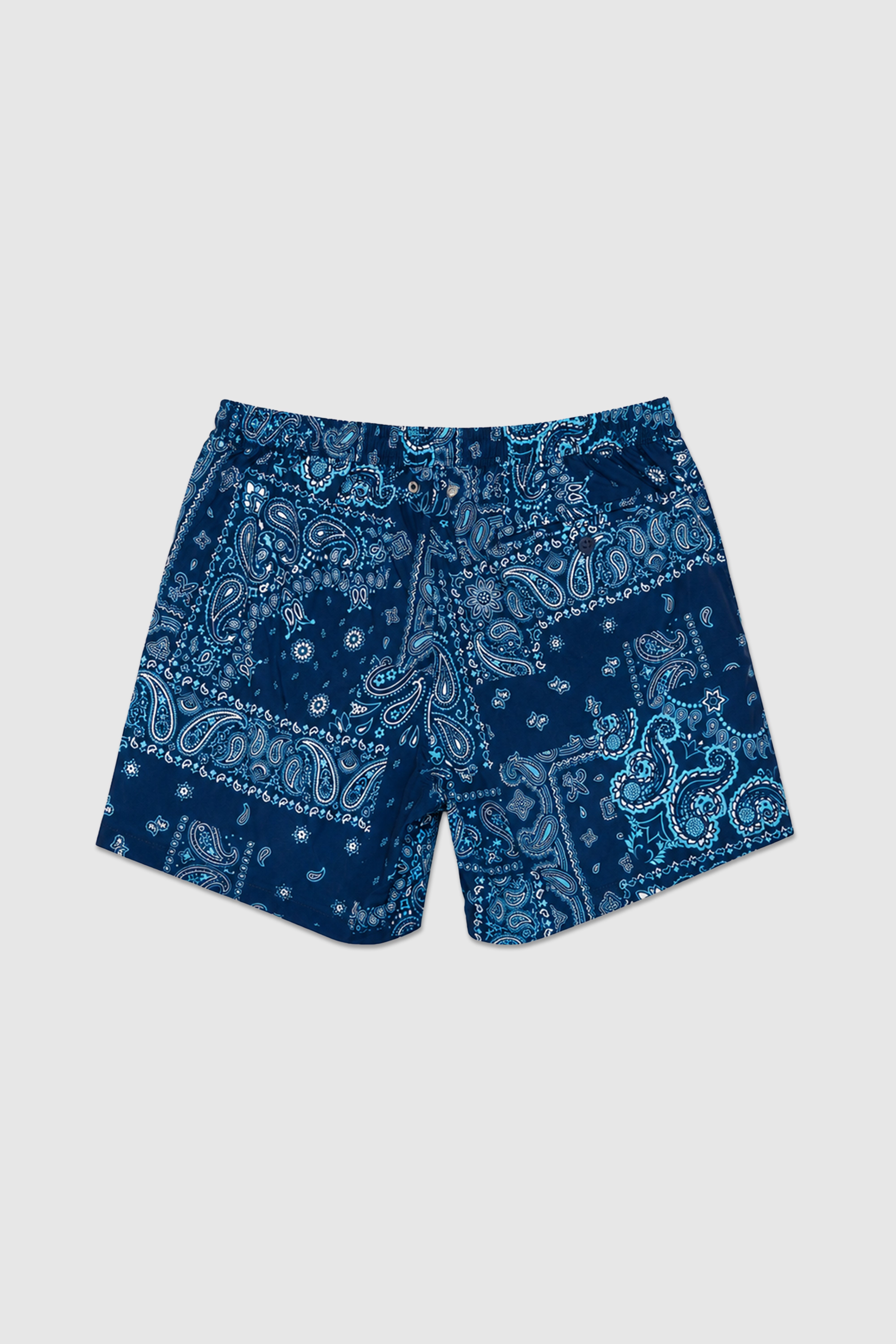 Paisley Swim Shorts