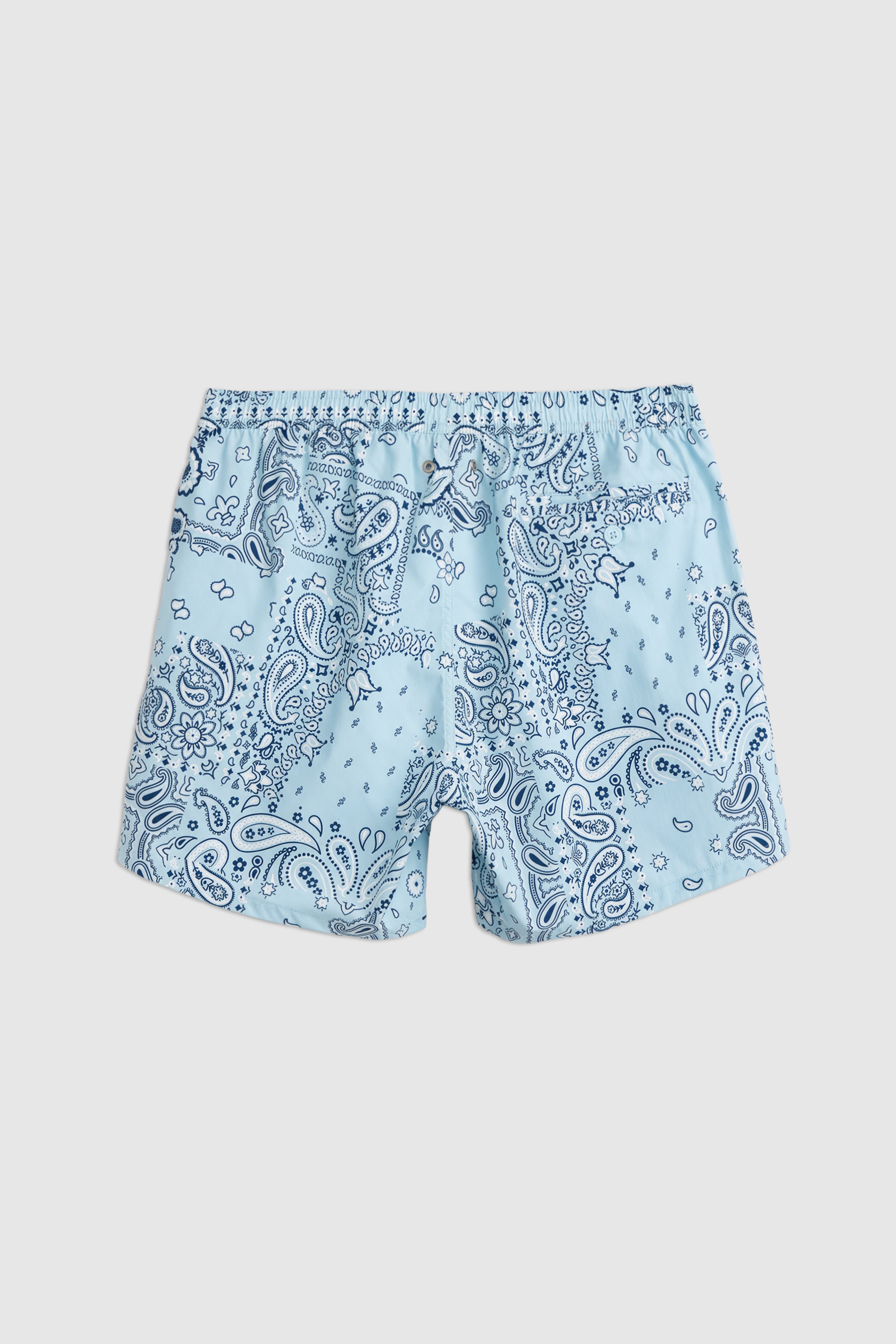 Paisley Swim Shorts