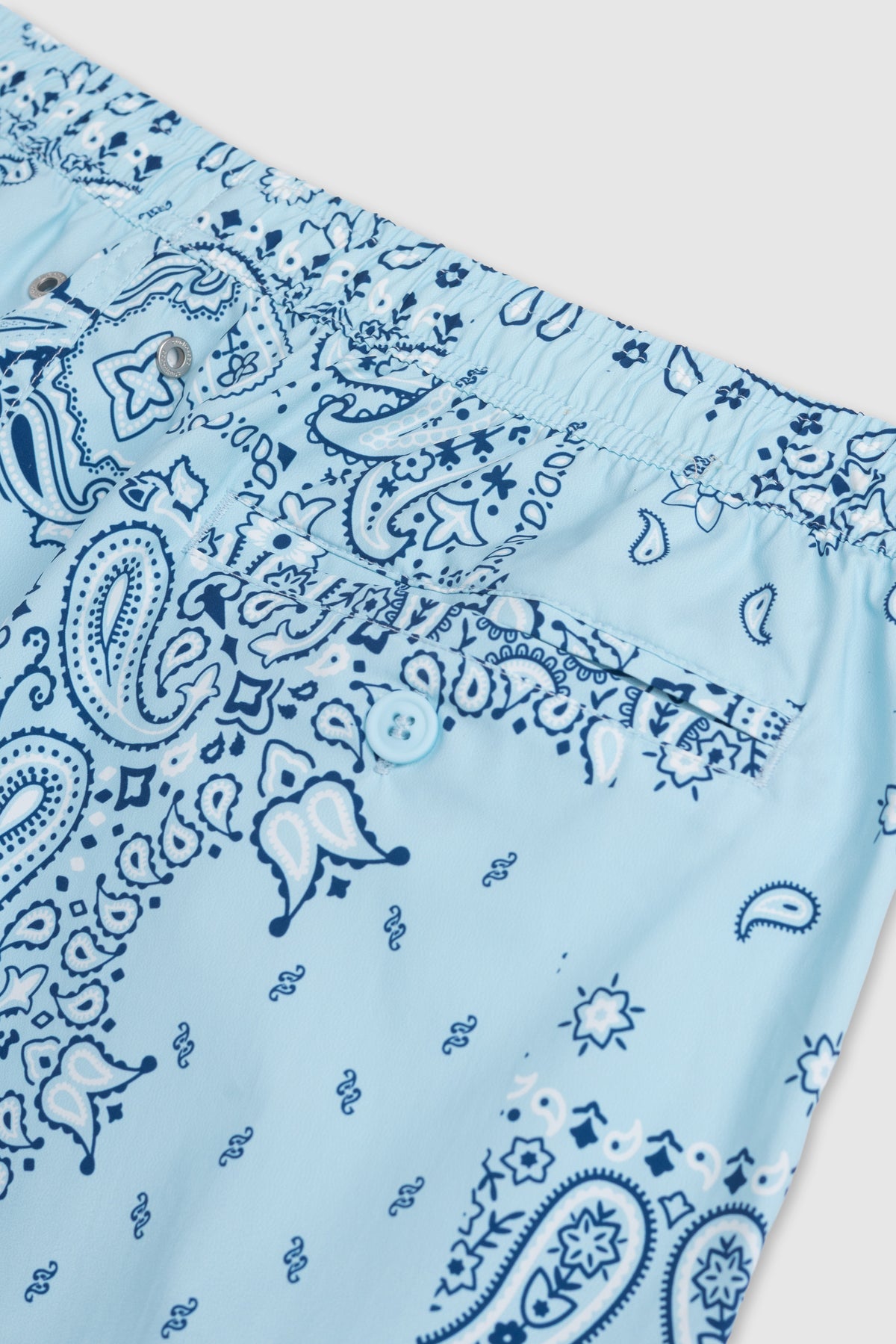 Paisley Swim Shorts