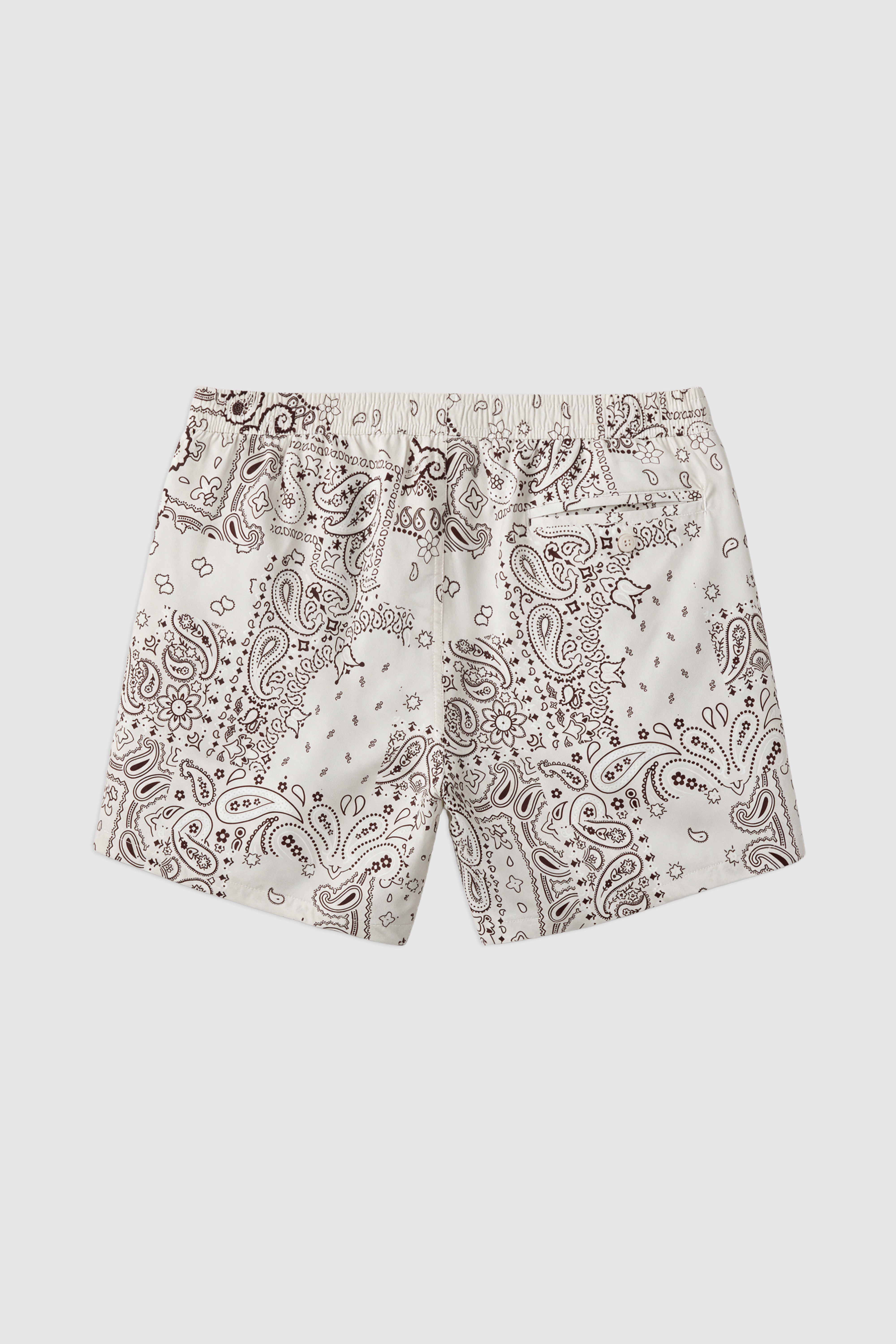 Paisley Swim Shorts