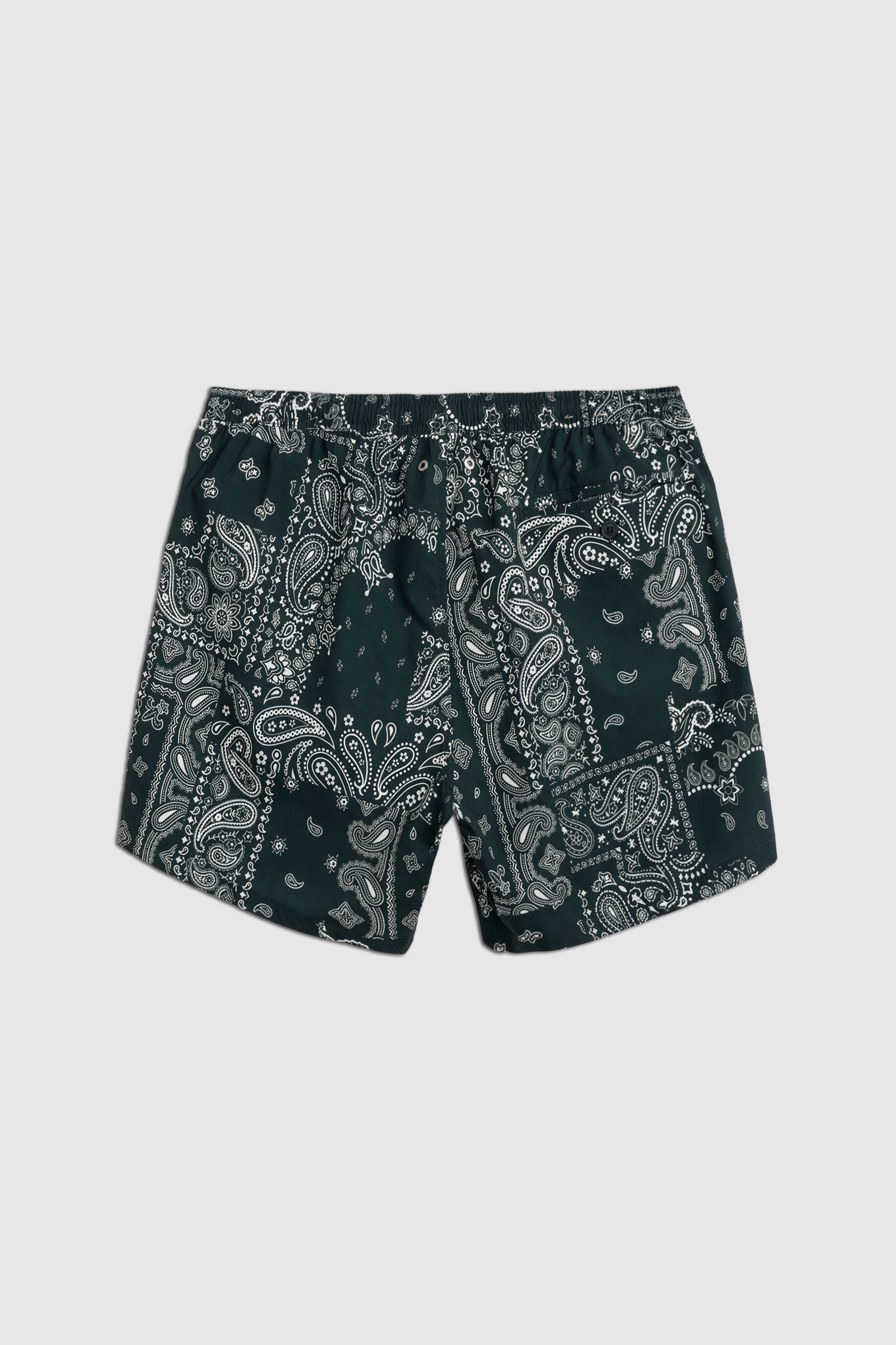 Paisley Swim Shorts