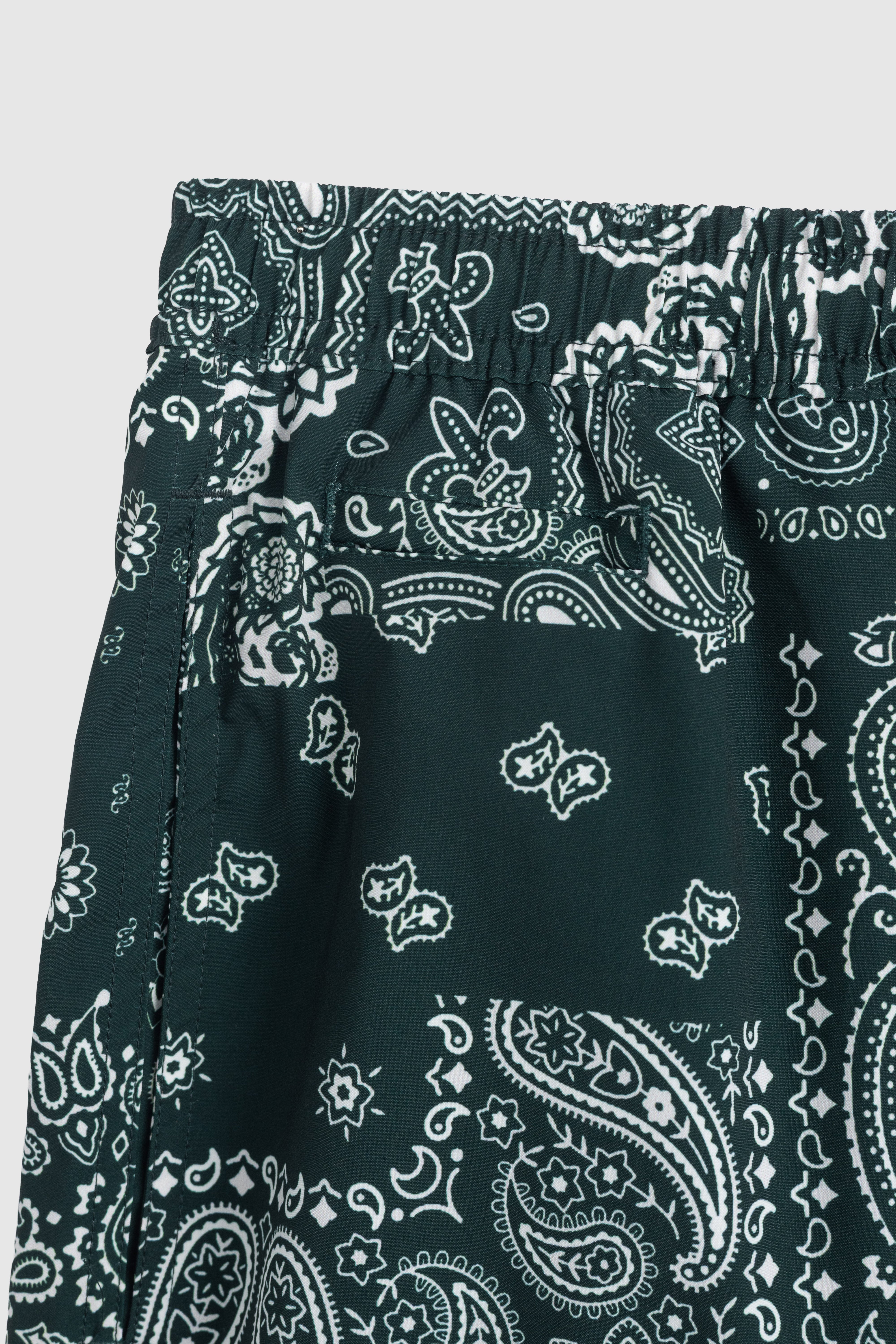 Paisley Swim Shorts