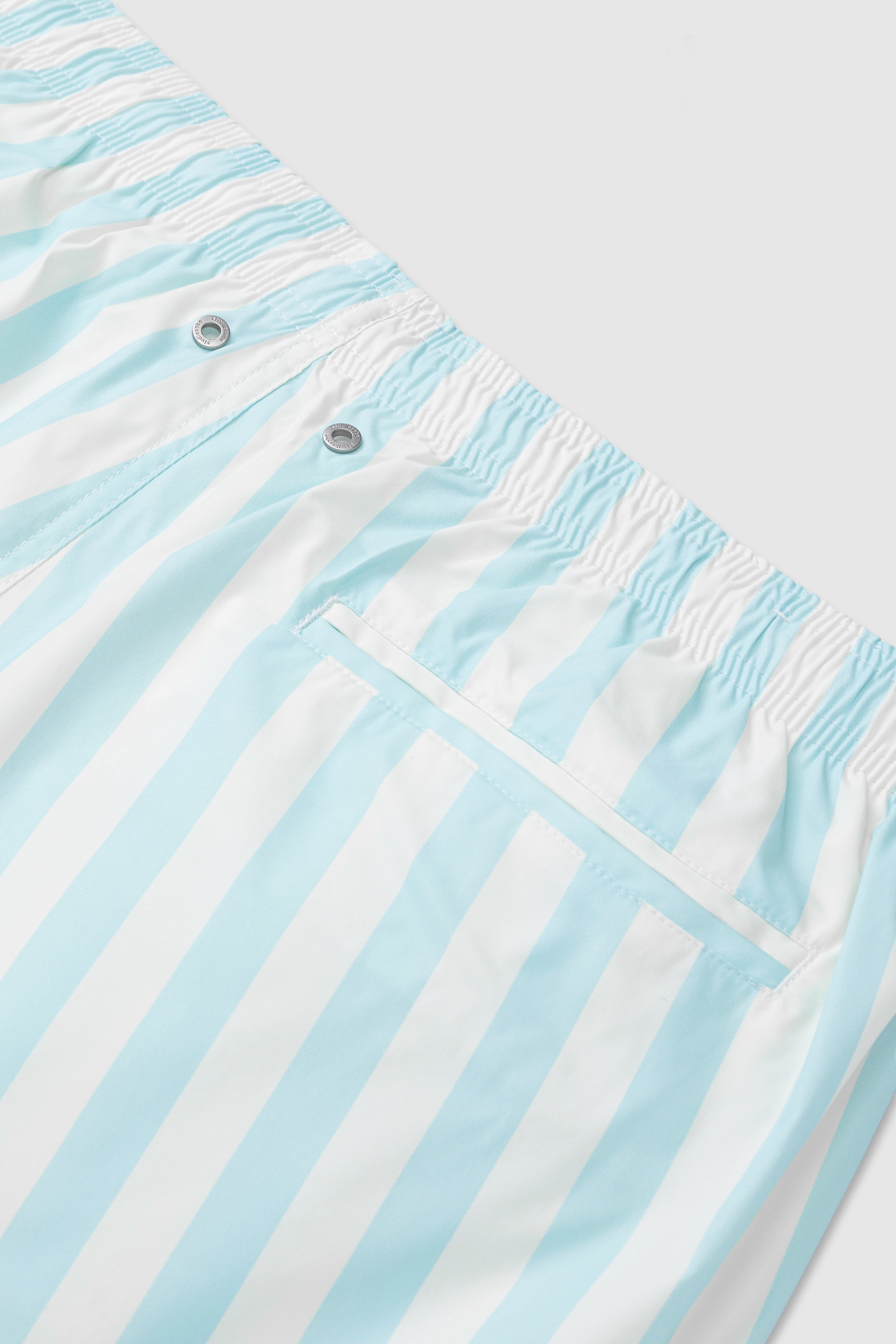 Striped Swim Shorts