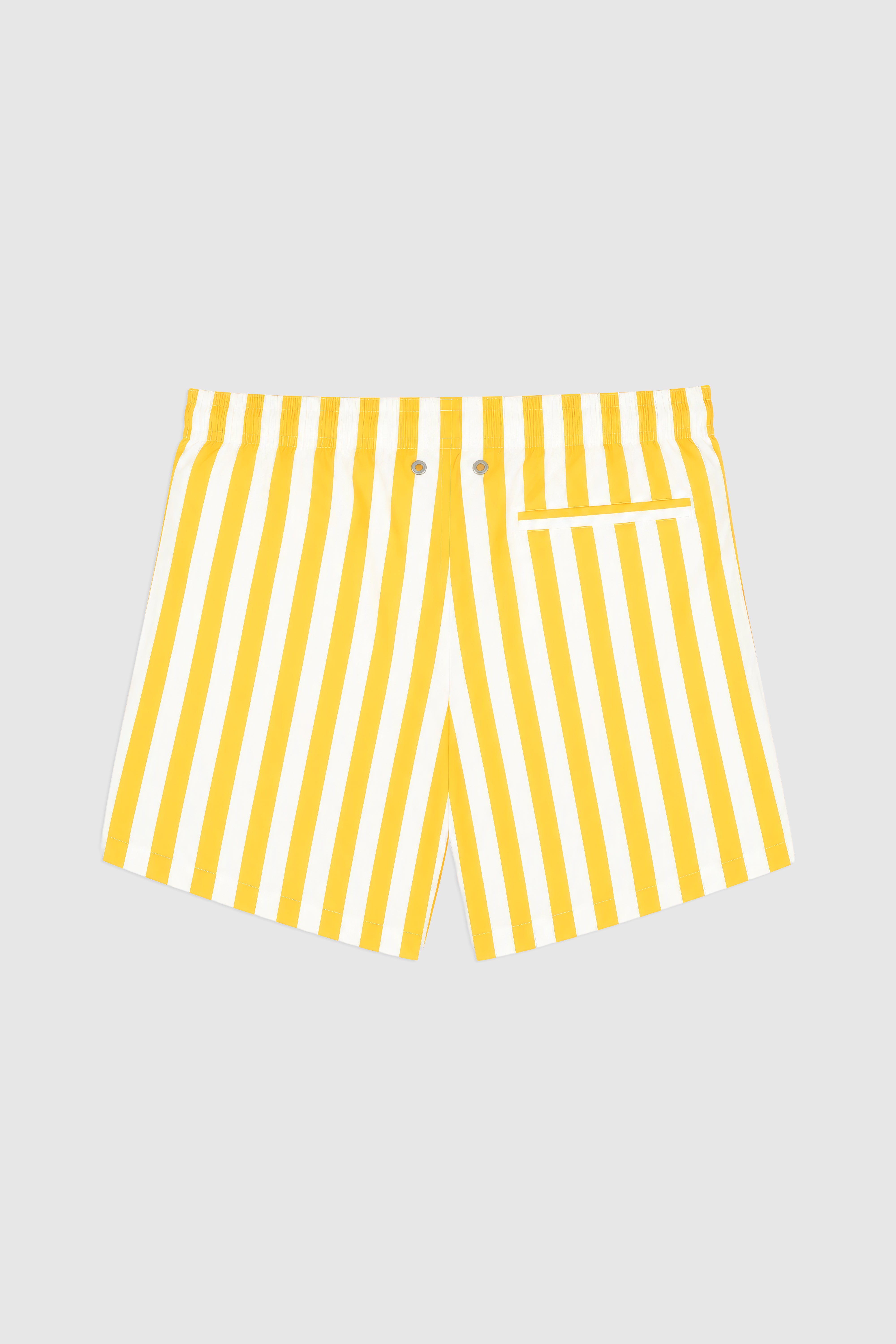 Striped Swim Shorts