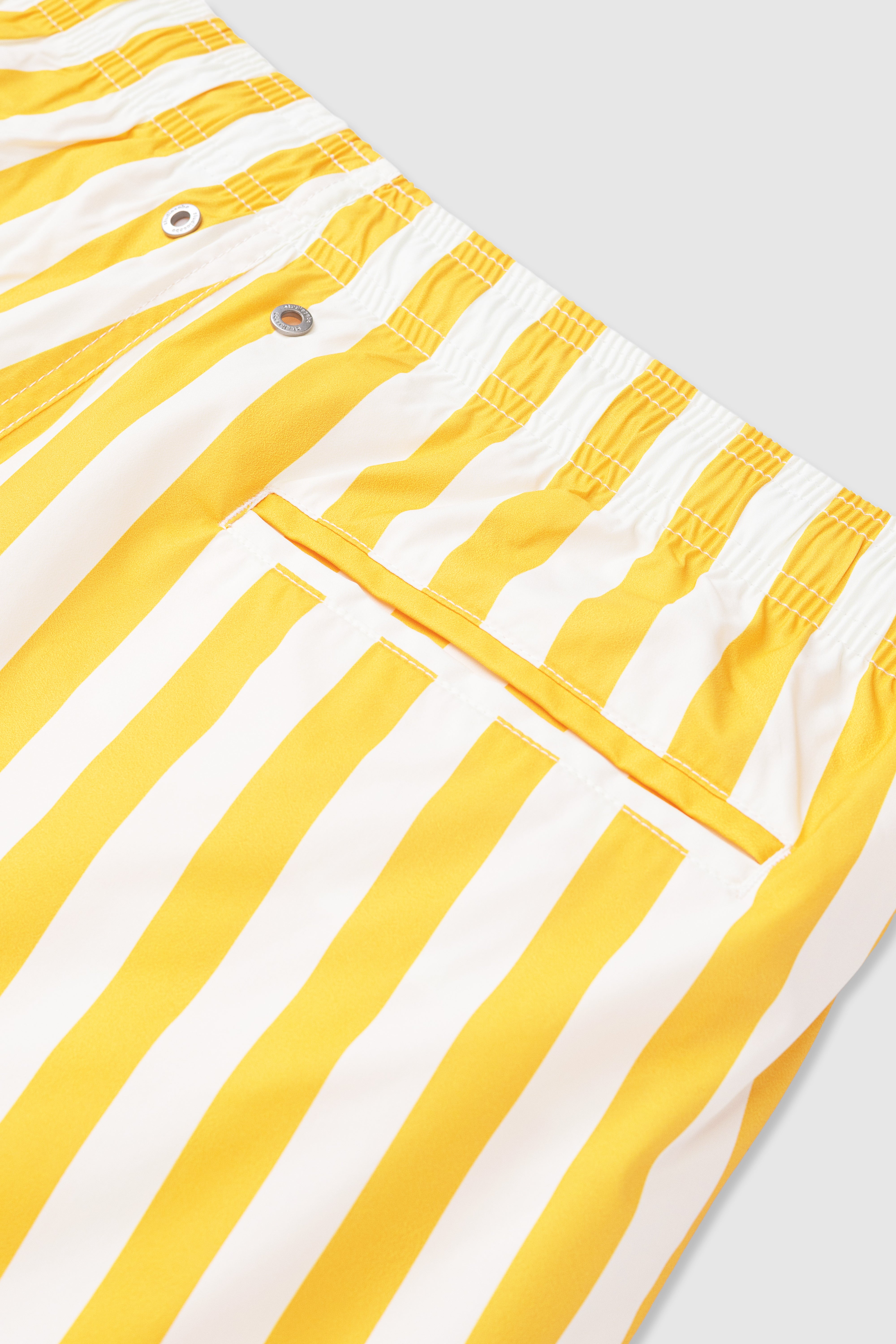 Striped Swim Shorts